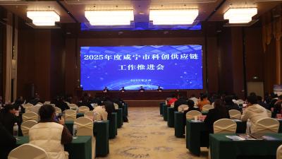 2025年度咸宁市科创供应链工作推进会在通城召开