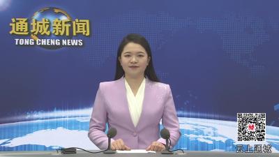 视频-通城县加速推进菖蒲港大桥拆除重建工程
