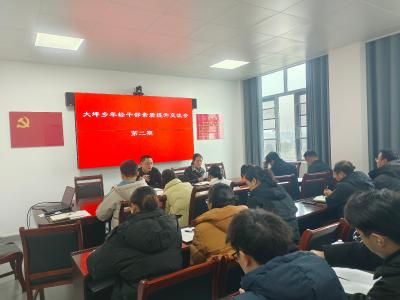 通城县大坪乡召开年轻干部素质提升交流会