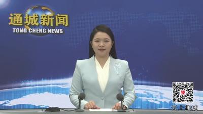 视频-2025年通城县三级干部大会召开 