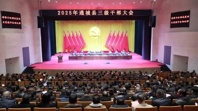 视频-【聚焦全县三级干部大会】通城：坚定“打造高端电子元器件生产基地和制造业强县”发展目标不动摇 