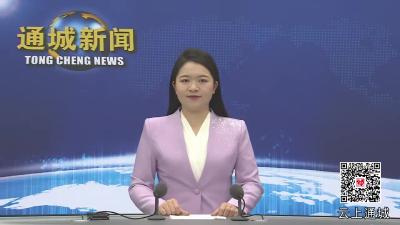 视频-通城县委常委会（扩大）会议召开 