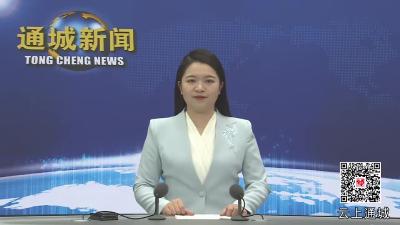 视频-通城县领导调研开发区项目及“三库”建设工作 