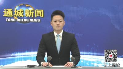 视频-通城县召开大财政体系建设工作专题推进会