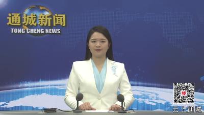 视频-通城县2024年度乡镇和县直单位“一把手”述责述廉会议举行