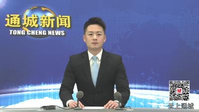 视频-通城：现场宣布处分决定 以身边事教育身边人