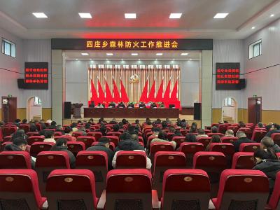 通城县四庄乡：全力筑牢春节森林防火“安全网”