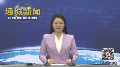 视频-湖北银行咸宁分行行长蔡峰来通城交流座谈