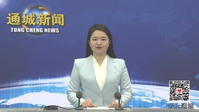 视频-通城县2025年第1次县“四大家”联席会议召开
