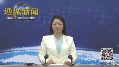 视频-通城县召开2025年县委政法工作暨平安稳定工作大会