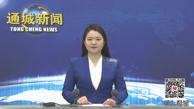 视频-2025年通城县文化和旅游工作会议召开