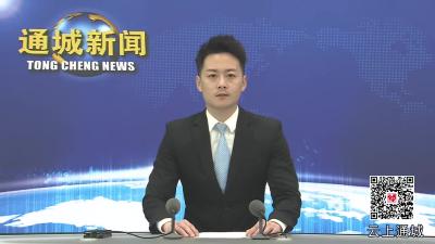 视频-【盘点2024·通城这一年】通城县公安局：实干履职 服务人民 全力构建和谐稳定社会环境 