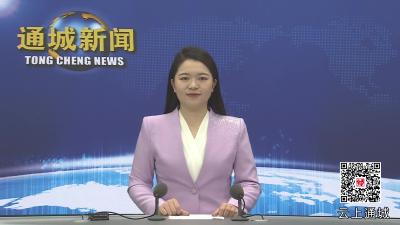 视频-通城：建链融链 打造电子信息全产业链