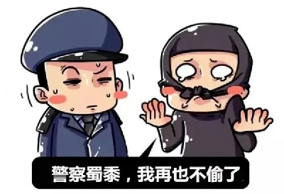 【春节我在岗】年关购物忙，谨防扒手！通城公安破获一起扒窃案