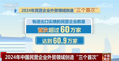 透过数据看2024年民营企业外贸成绩单 三大类外贸经营主体“风生水起”