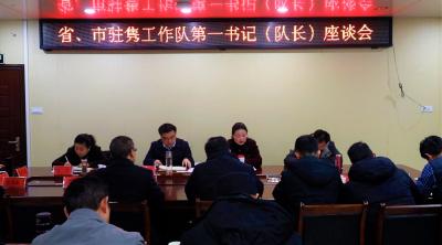 通城县召开省、市驻隽工作队第一书记（队长）座谈会