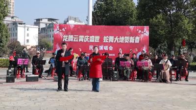 视频-通城县文化和旅游局举办闹新春主题文艺演出