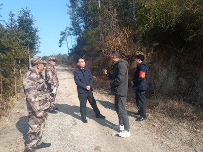 通城县四庄乡：加强森林防火，力保民众安全