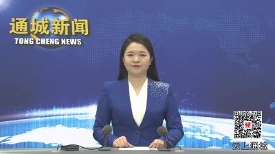 视频-2025年第4次通城县政府常务会议召开.mpg