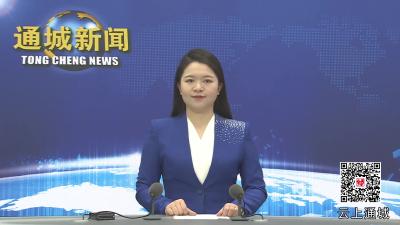 视频-【落实全县三级干部大会精神】通城县水利和湖泊局召开2025年水利工作暨党风廉政建设工作会.mpg