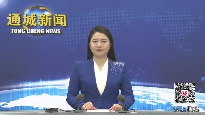 视频-通城县领导听取2025年度重点工作推进情况