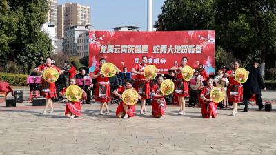通城县文化和旅游局举行闹新春主题文艺演出
