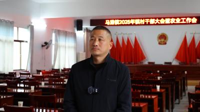 【2025年，我们这么干⑦】通城县马港镇党委书记陈志明：着力“四个下功夫”  为通城发展贡献马港力量