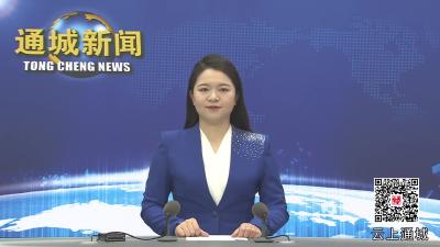 视频-【落实全县三级干部大会精神】通城县四庄乡：奋力开启四庄“生态美、产业强、百姓富”新征程