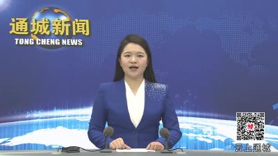 通城：夯实城市数字基建 让城市治理更智能