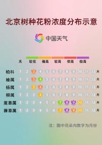前方喷嚏警告！又到花粉过敏季，四招教你有效预防→