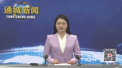 视频-省政协调研组来通城调研医养结合工作
