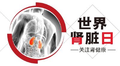风险早识别！了解不同人群的筛查要求，保护肾脏健康 | 世界肾脏日
