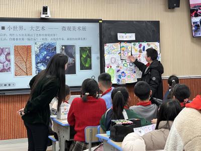 通城县第二小学：以赛促教融思政  以课铸魂育新苗