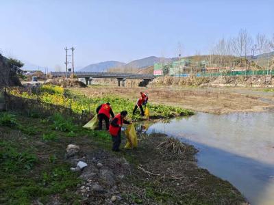 通城县麦市镇：党建引领聚合力,创卫攻坚谱新篇