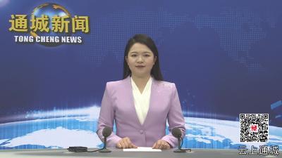 视频-杨修伟调研督办重点项目建设工作
