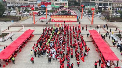湖北通城：学雷锋 献爱心