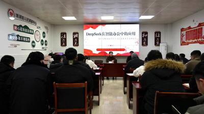 通城县塘湖镇：DeepSeek大模型助力智能办公