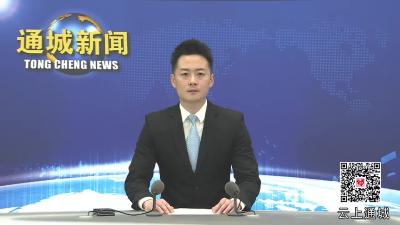 视频-通城县举行2025年以点扩面村级民兵连集体授旗仪式 