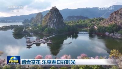 踏青赏花 乐享春日好时光