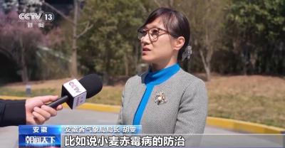 水肥“精准投喂” 全国各地用科技浇出冬小麦好苗情