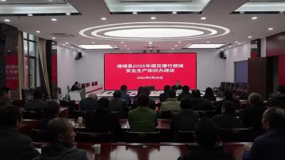 视频-通城县应急管理局召开2025年烟花爆竹领域安全生产知识培训会 