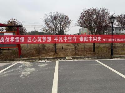 通城县沙堆镇：弘扬雷锋精神，共筑奉献新风尚