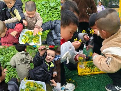 通城县沙堆镇中心幼儿园开展"播种希望 手绘春天"植树节涂鸦活动
