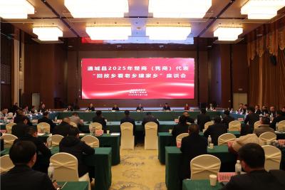 通城县召开2025年楚商（隽商）代表“回故乡看老乡建家乡”座谈会