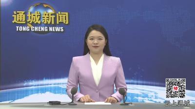 视频-省人大城环委来通城县调研红色资源保护和利用及美丽乡村建设工作 