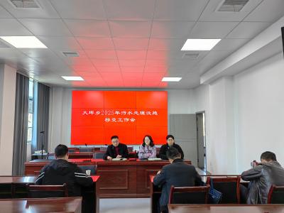 通城县大坪乡：移交污水处理设施  提升污水处理质效