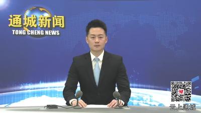 视频-通城县召开经济形势分析暨投资与项目建设工作会 