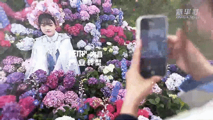 “花样”经济新观察丨“赏花经济”焕发蓬勃生机