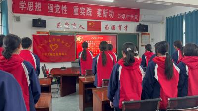 通城县沙堆中学开展学雷锋主题团日活动