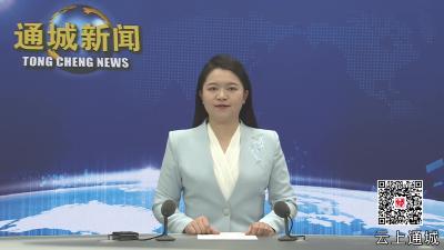 视频-通城：AI赋能智慧城管 让城市管理更高效